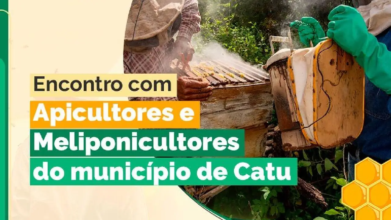 Apicultores e meliponicultores de Catu participarão de encontro voltado ao fortalecimento da atividade