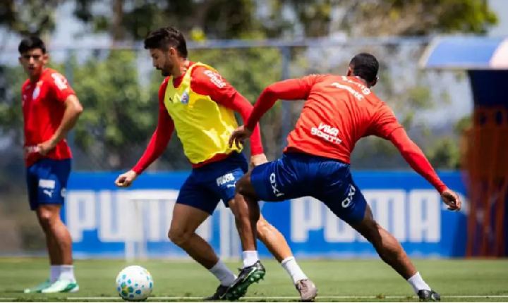 Bahia intensifica preparação para enfrentar o Palmeiras pela Série A