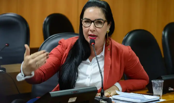 Deputada Ludmilla Fiscina realiza audiência pública na próxima terça-feira (11), para debater a rede de atenção à saúde mental na Bahia