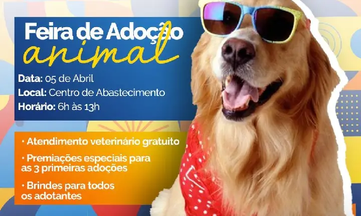 Feira de Adoção Animal acontece neste sábado dia 5 de Abril em Catu