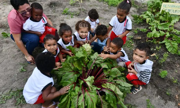 Horta escolar fortalece aprendizado e resgata cultura dos quintais em Alagoinhas