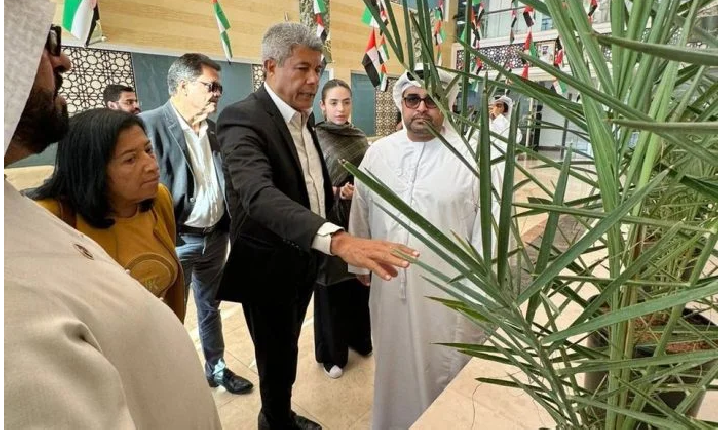 Nos Emirados Árabes, governador Jerônimo visita plantação de tâmaras que poderão ser produzidas na Bahia