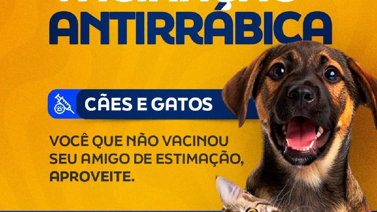 Prefeitura de Catu divulga cronograma da vacinação antirrábica para cães e gatos