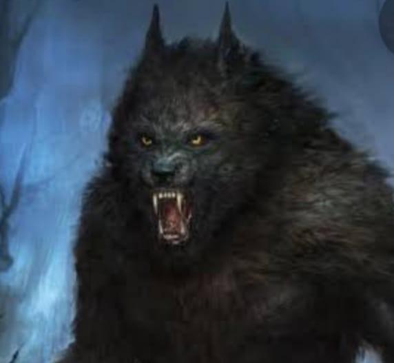 Lobisomem ataca novamente em Inhambupe