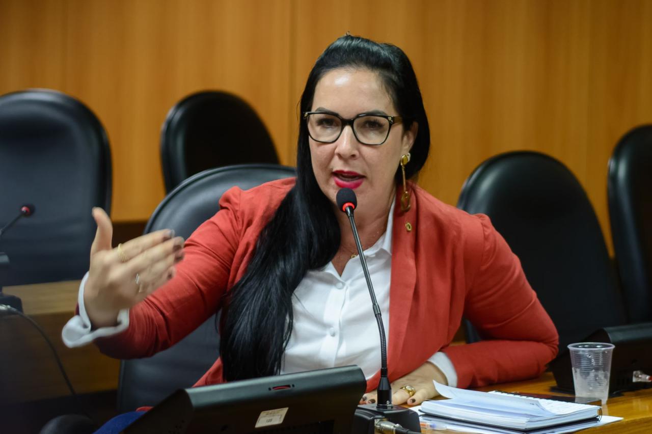 Deputada Ludmilla Fiscina realiza audiência pública na próxima terça-feira (11), para debater a rede de atenção à saúde mental na Bahia