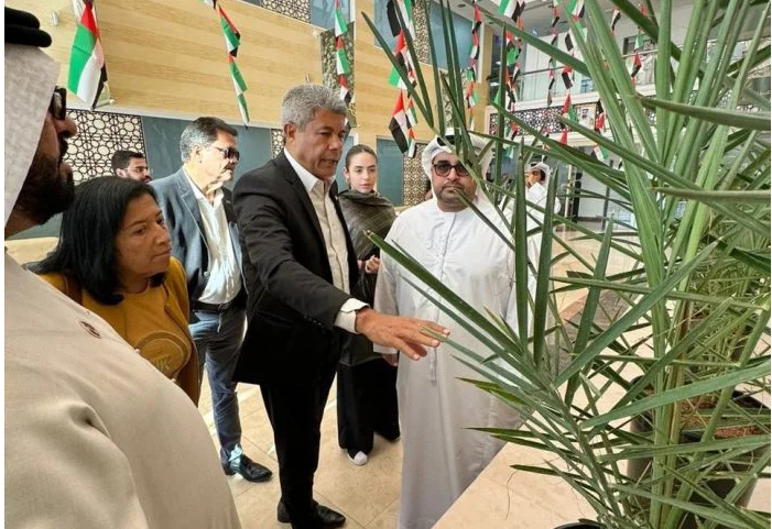 Nos Emirados Árabes, governador Jerônimo visita plantação de tâmaras que poderão ser produzidas na Bahia