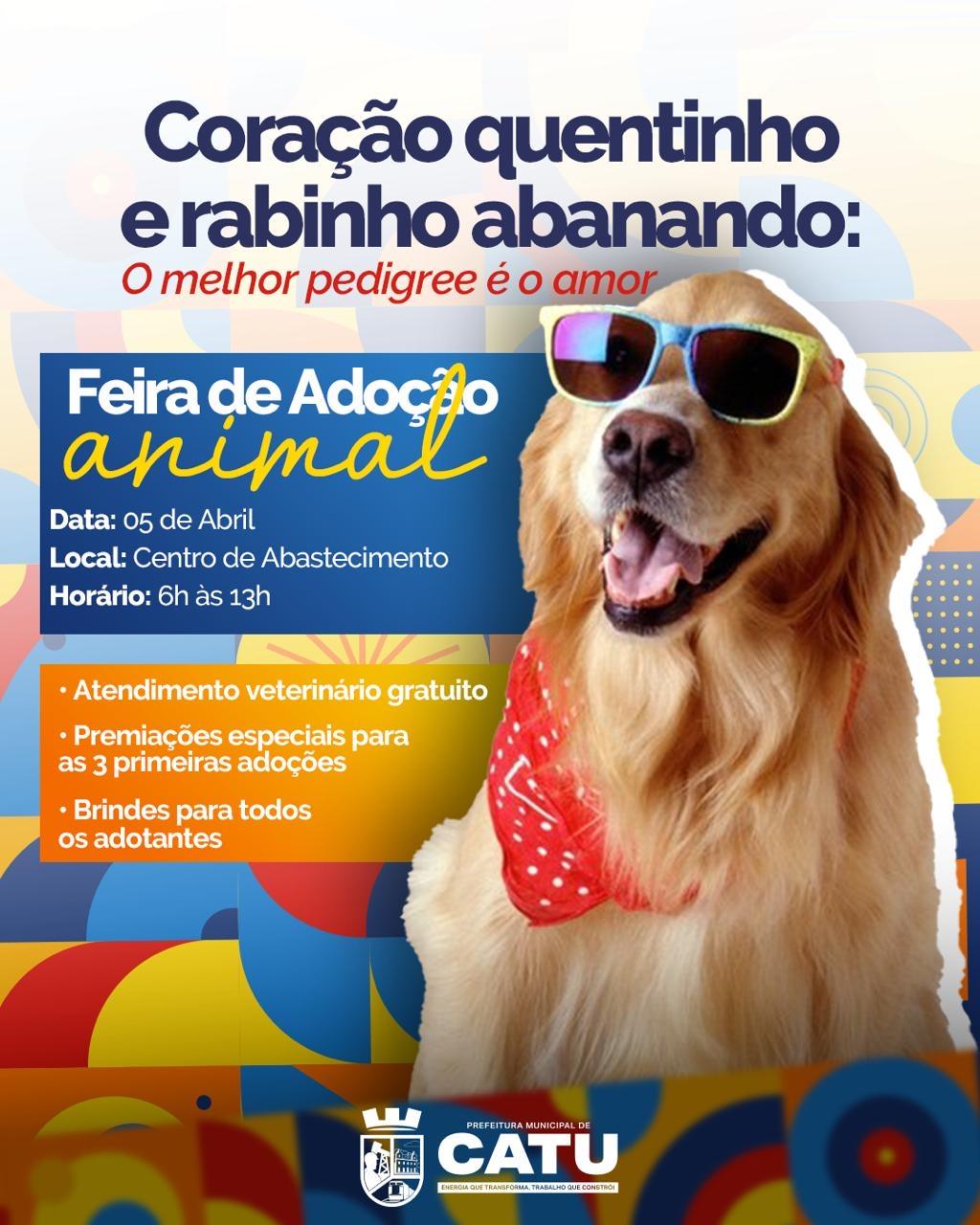 Feira de Adoção Animal acontece neste sábado dia 5 de Abril em Catu
