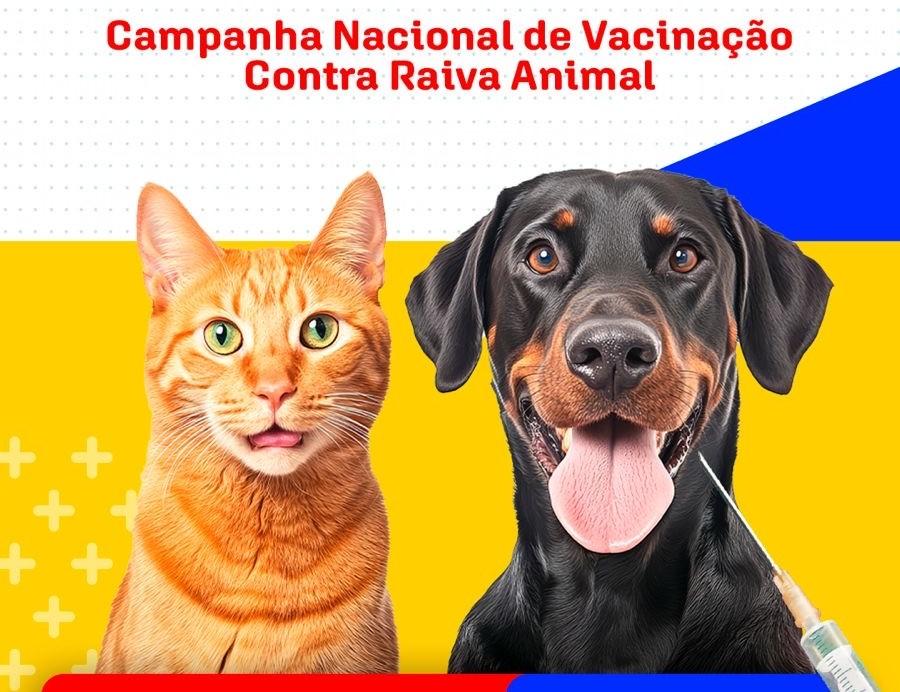 Campanha de Vacinação Contra a Raiva Animal começa em Catu