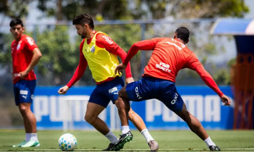 Bahia intensifica preparação para enfrentar o Palmeiras pela Série A